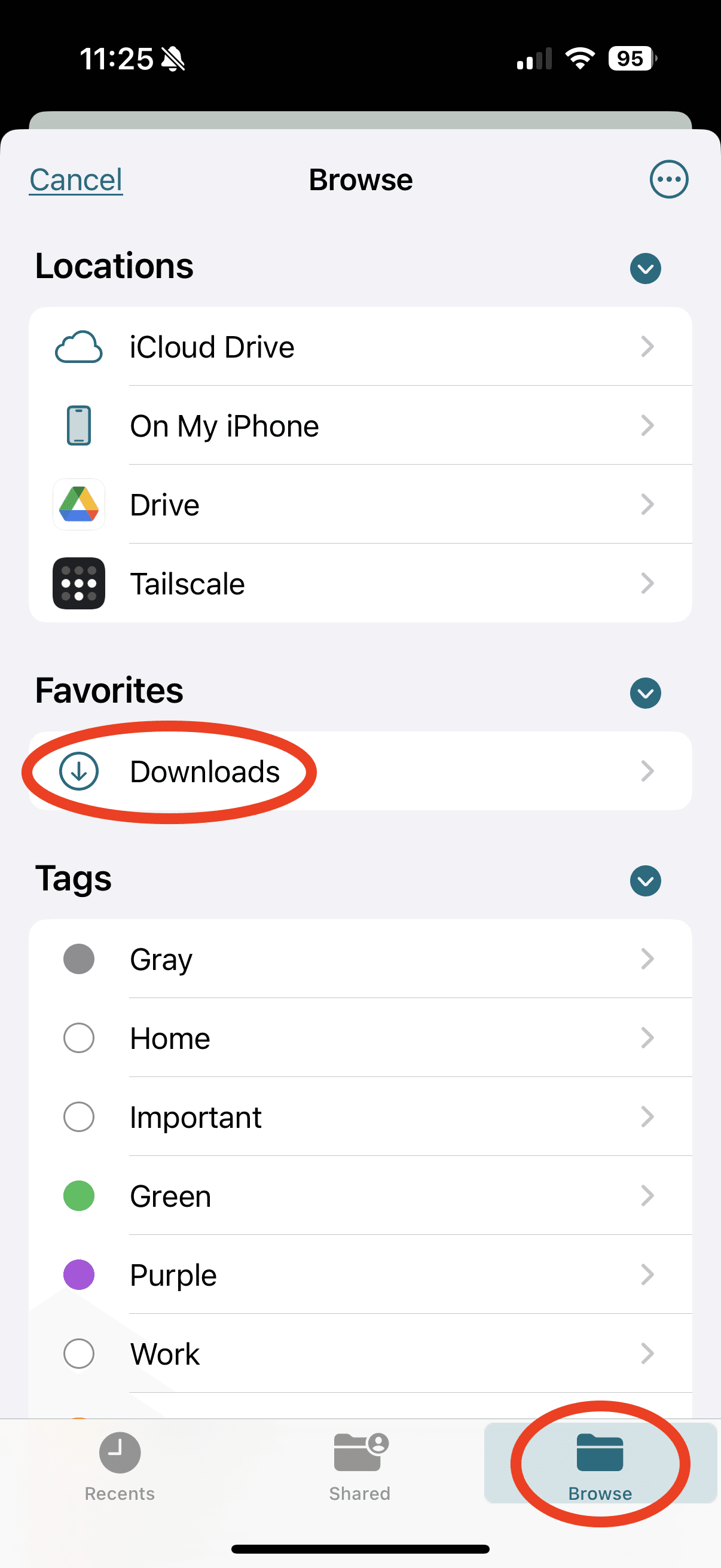 iPhone Files picker with Browse and Downloads highlighted