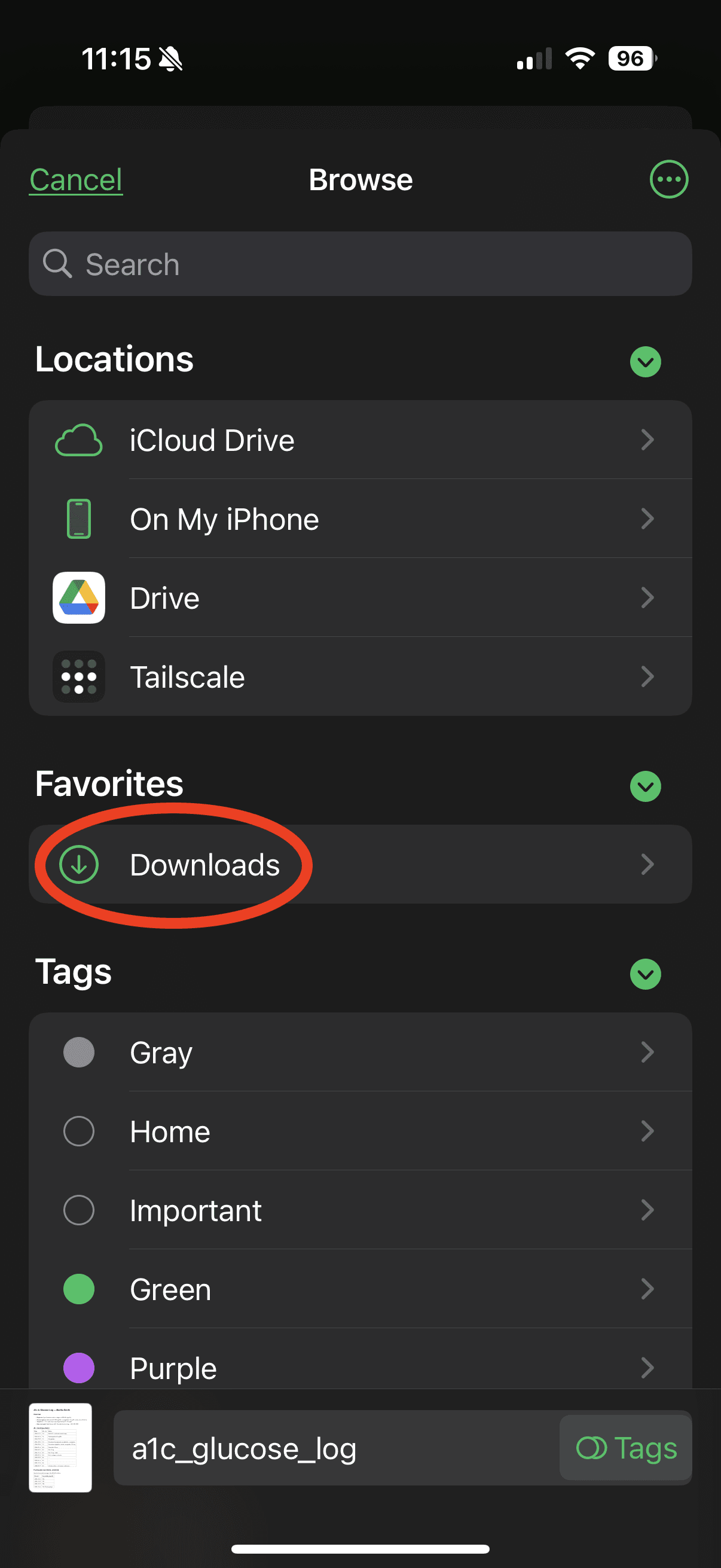 iPhone Files browser with the Downloads favorite highlighted