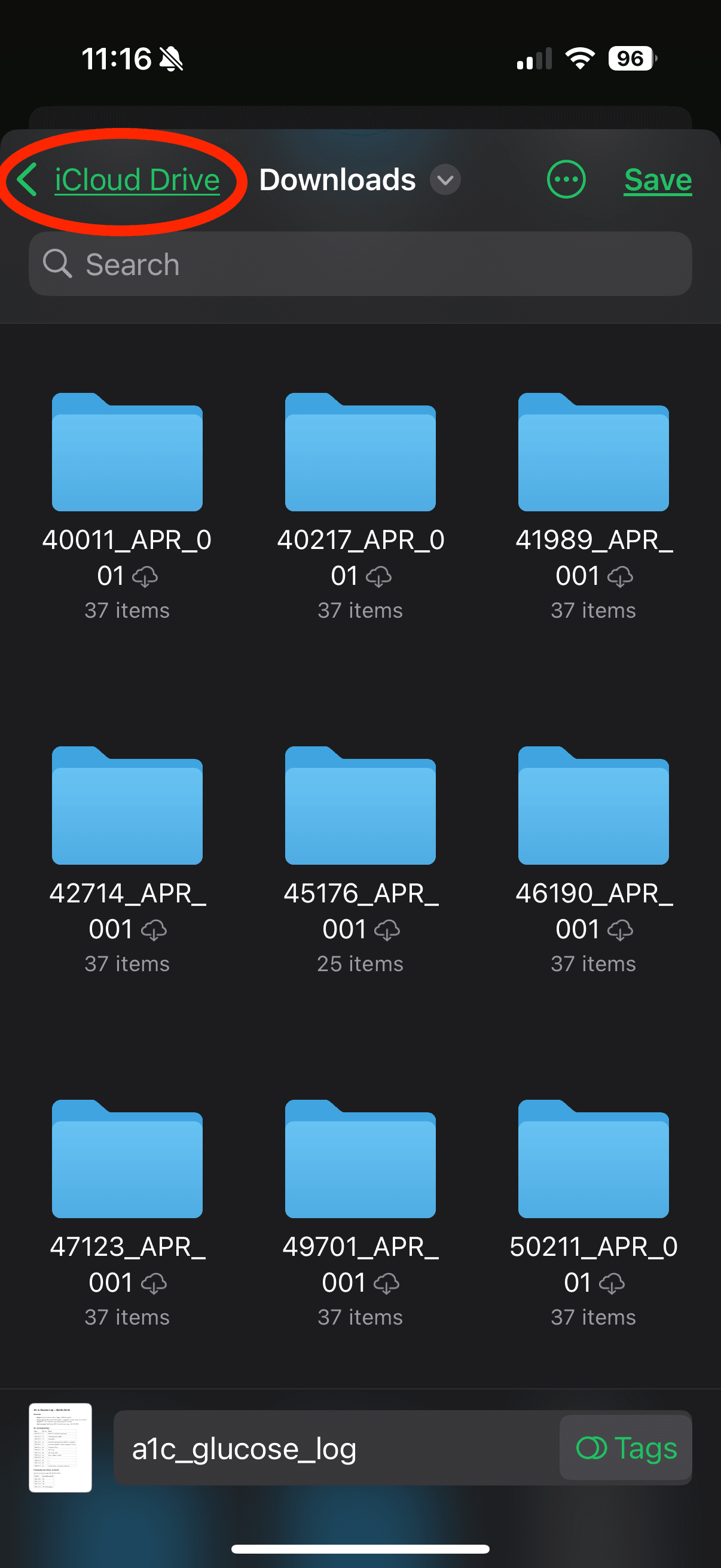 iPhone Save to Files screen open to Downloads with Save visible