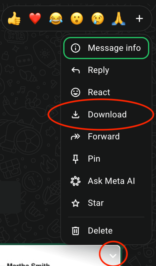 WhatsApp Web attachment menu with Download highlighted